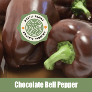 Chocolate Bell Pepper